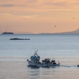 La Mer Egée, près de l'île de Samos, est un des principaux points de passage en Méditerranée.